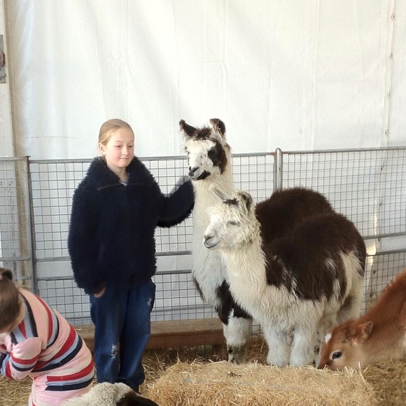 Meet your Posher, Gabriella - Picture 1 of 1